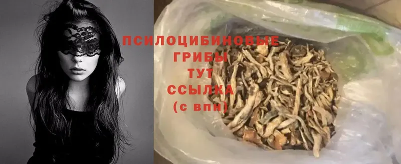 Псилоцибиновые грибы Magic Shrooms  мега   Ишимбай 